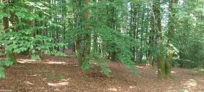 Maison de campagne - 65 m² - 4 pièces