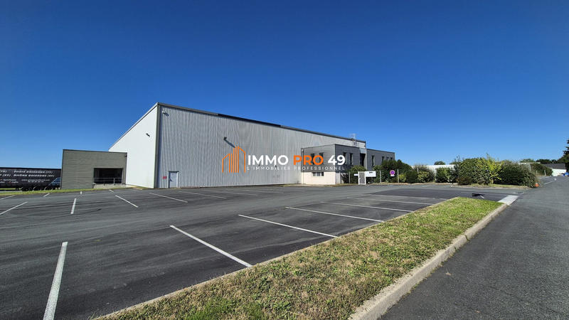 Local d'activités - 3 800 m²