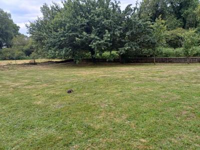 Terrain constructible - 569 m²