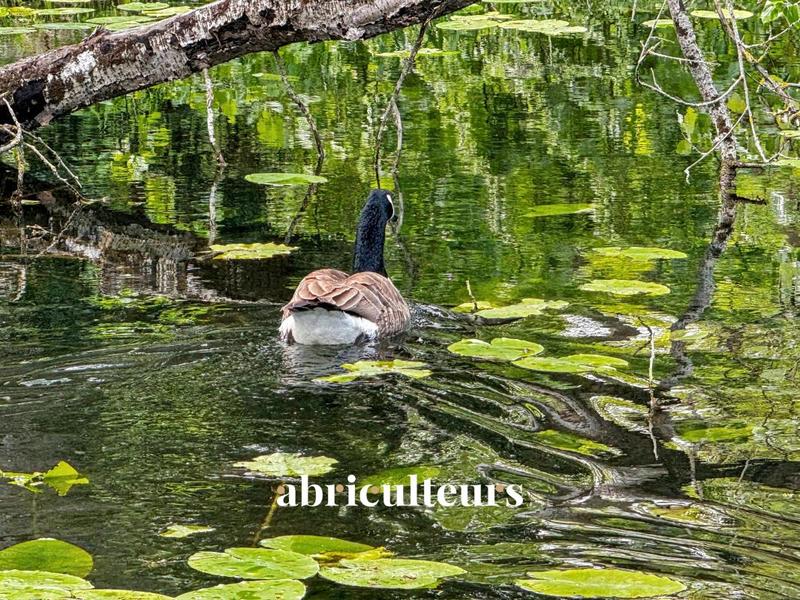 Maison ancienne - 1 000 m² - 16 pièces
