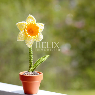 Appartement - 43 m² - 2 pièces