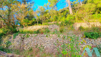 Terrain - 750 m²