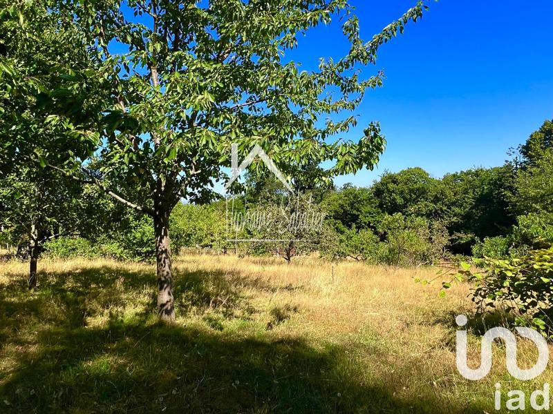 Maison - 206 m² - 7 pièces