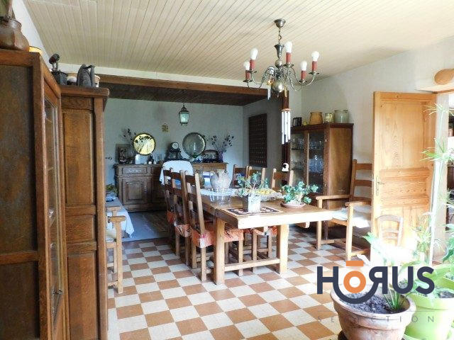 Viager - Maison ancienne - 210 m² - 4 pièces