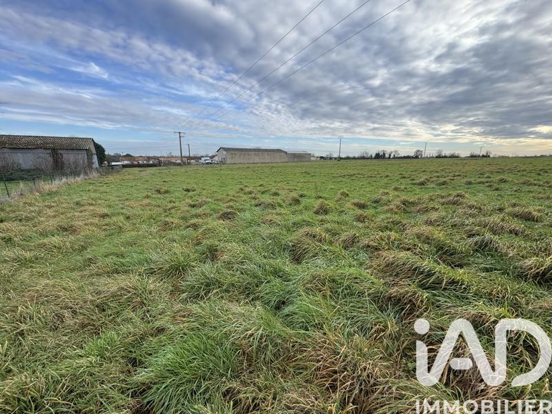 Terrain - 10 248 m²