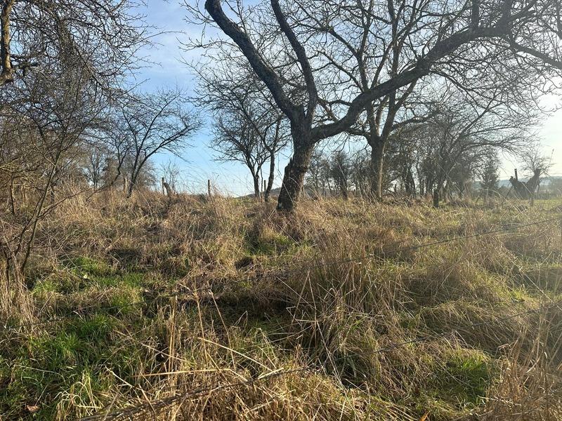 Fermette - 120 m² - 5 pièces