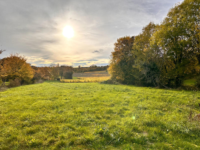 Maison - 41 m² - 2 pièces