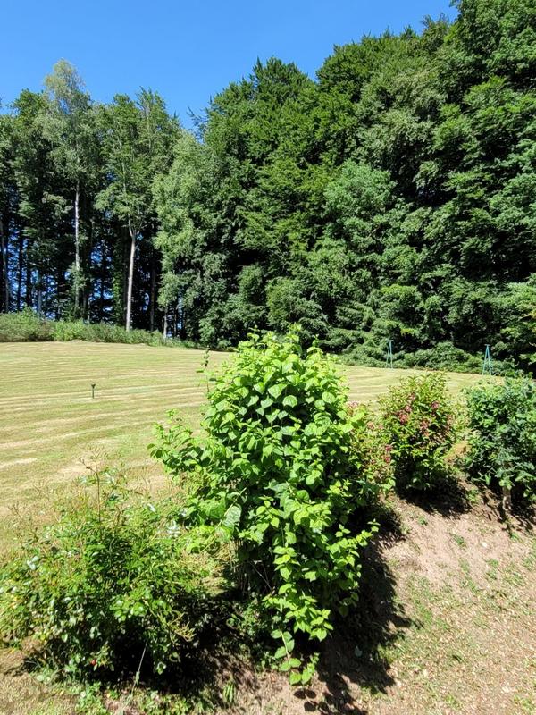 Maison ancienne - 98 m² - 5 pièces