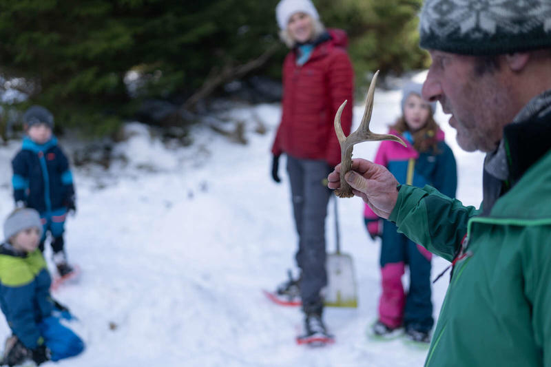 Sorties raquettes - P'tit trappeur