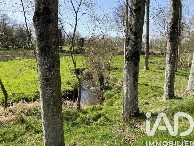 Terrain - 13 447 m²