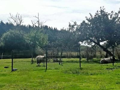 Maison - 188 m² - 8 pièces