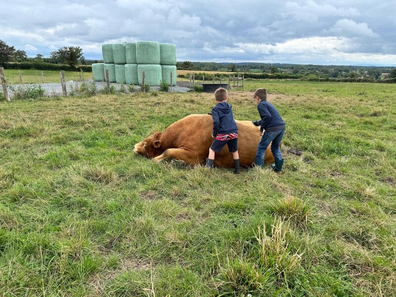 Visite de la ferme la Vallée des Vaches