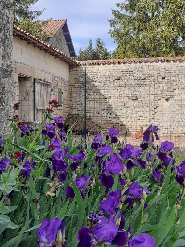 Longère - 165 m² - 8 pièces