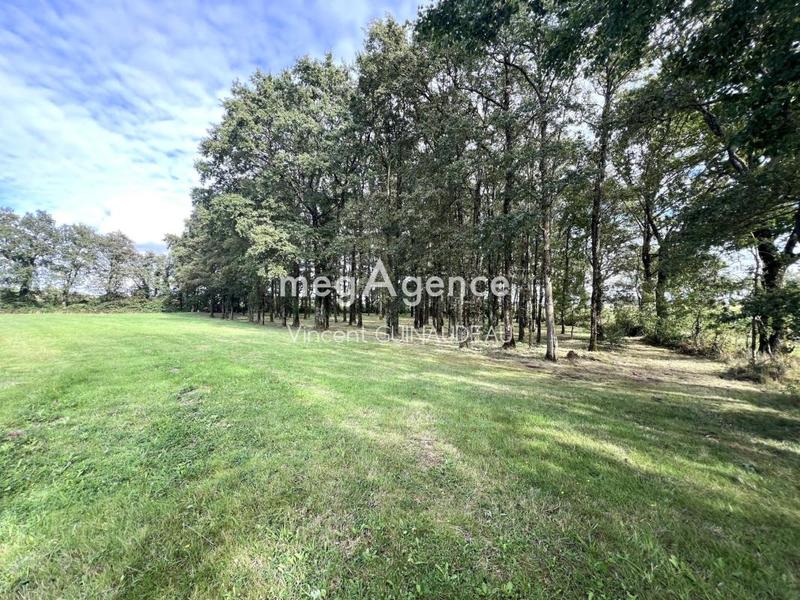 Terrain de loisirs - 12 539 m²