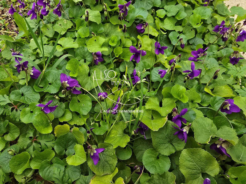 Maison - 71 m² - 3 pièces