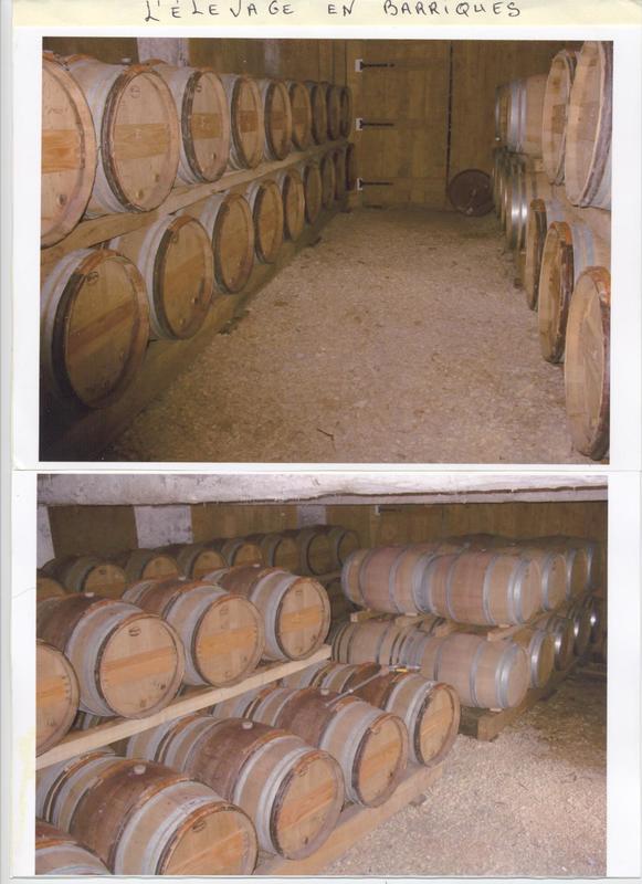 Vignoble calassou duravel 46