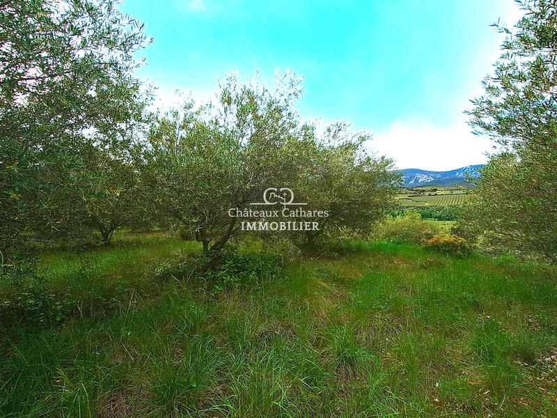 Terrain agricole - 51 314 m²