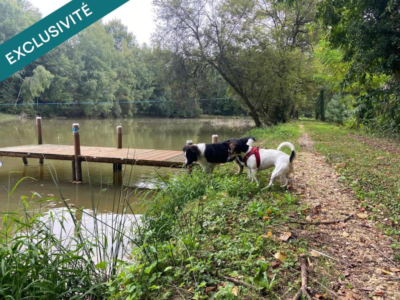 Terrain - 46 860 m²