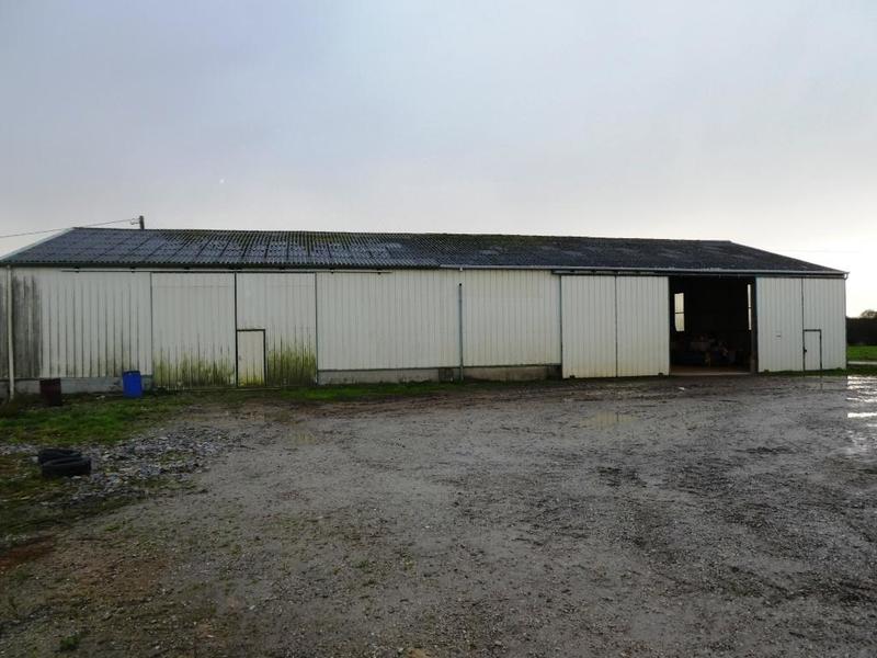 Local d'activité / Entrepôt - 900 m²