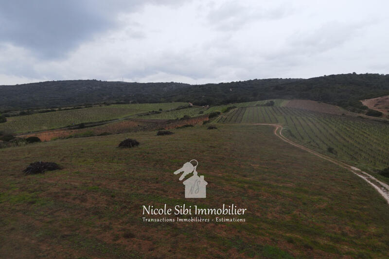 Terrain agricole - 16 032 m²