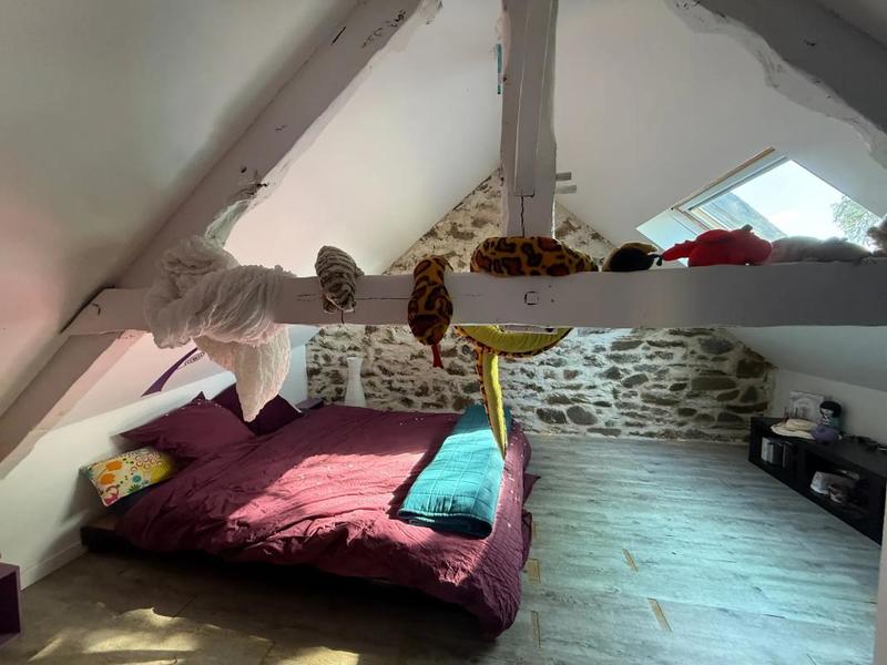 Maison en pierre - 205 m² - 8 pièces