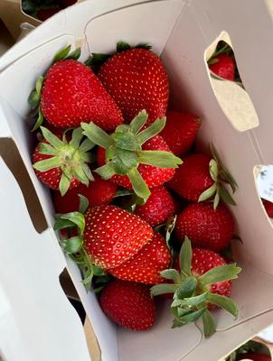 Le Comptoir de Chloé