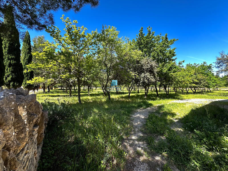 Bastide - 296 m² - 7 pièces