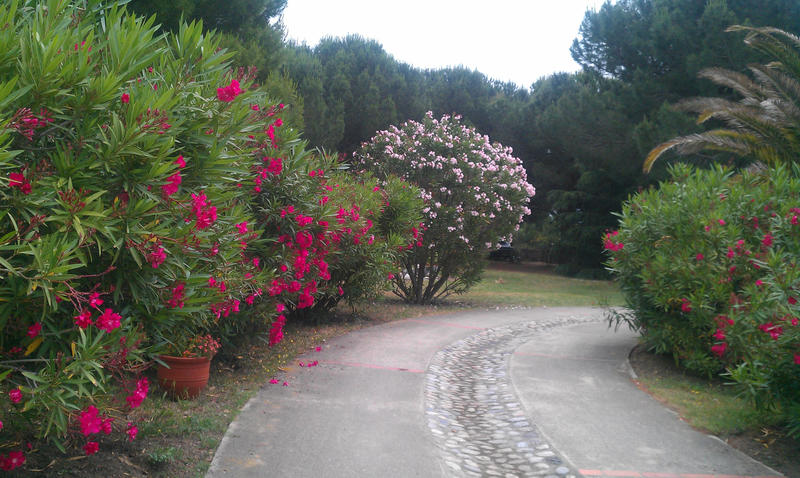 Villa - 164 m² - 7 pièces