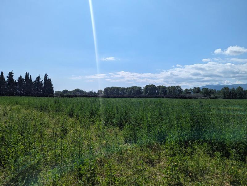Terrain agricole - 69 131 m²