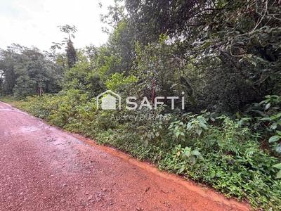 Terrain agricole - 11 749 m²