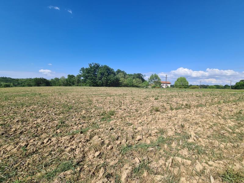 Maison ancienne - 235 m² - 7 pièces