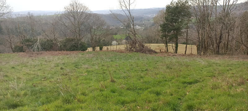 Terrain - 12 505 m²