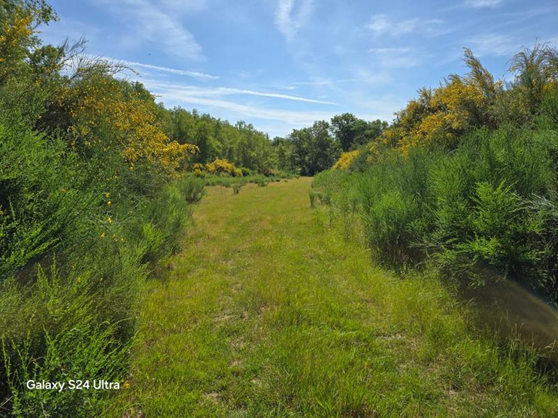 Terrain - 231 782 m²