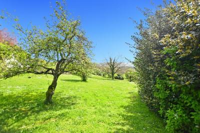 Maison de campagne - 111 m² - 4 pièces