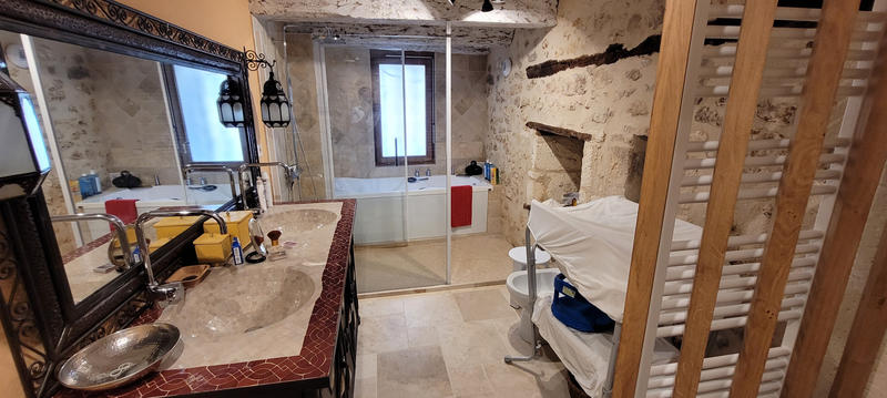 Viager - Maison - 515 m² - 17 pièces