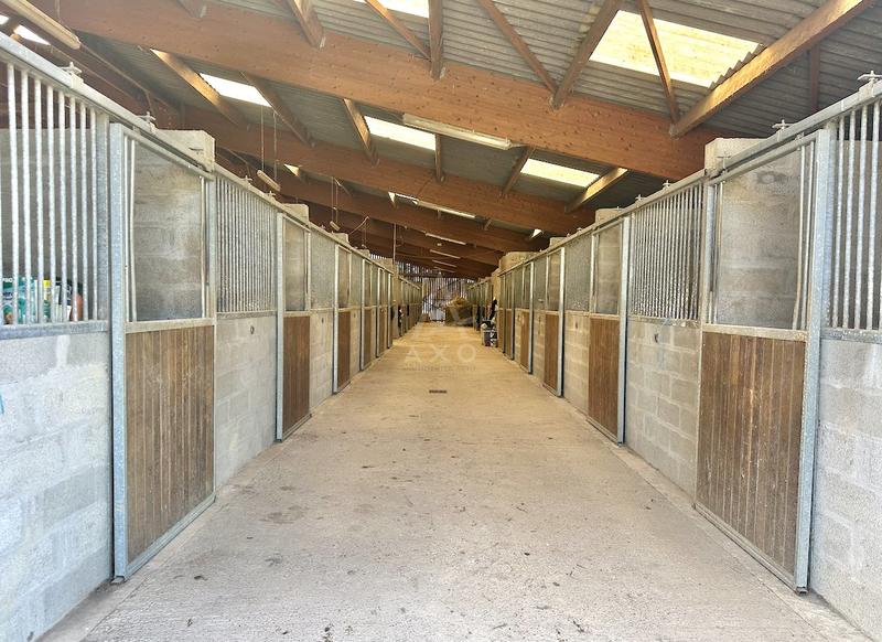 Haras - 230 m² - 8 pièces