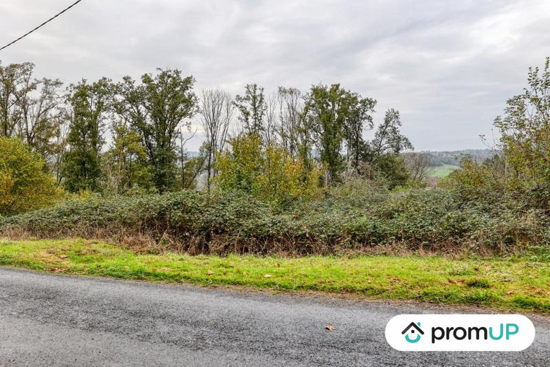 Terrain - 17 000 m²