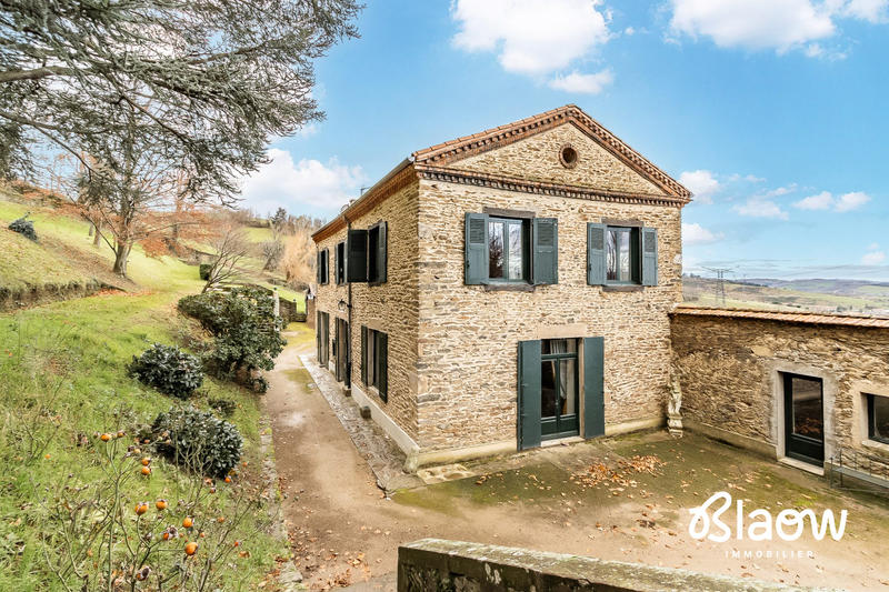 Viager - Maison - 306 m² - 9 pièces