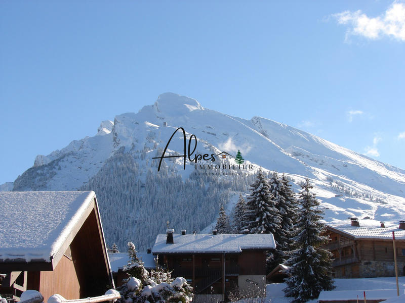 Appartement - 20 m² - 1 pièce