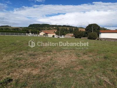 Terrain constructible - 2 738 m²