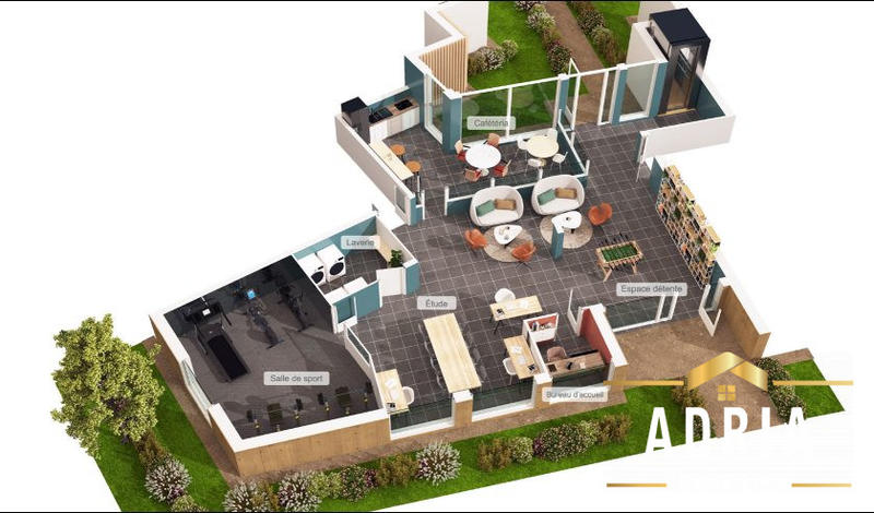 Appartement - 19 m² - 1 pièce