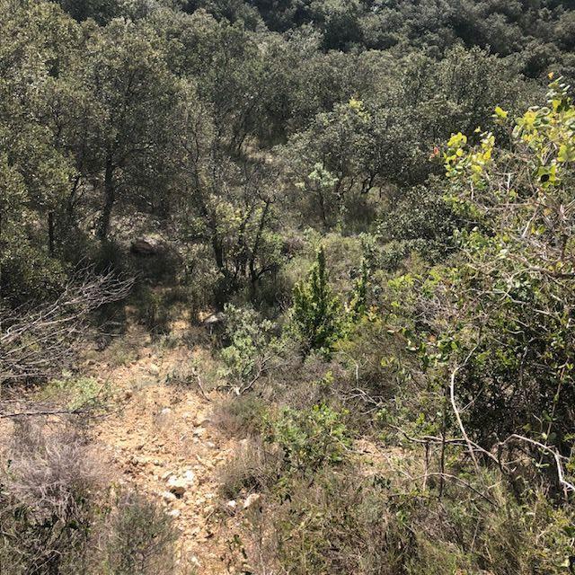 Terrain - 11 260 m²