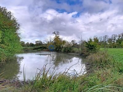 Maison - 207 m² - 6 pièces