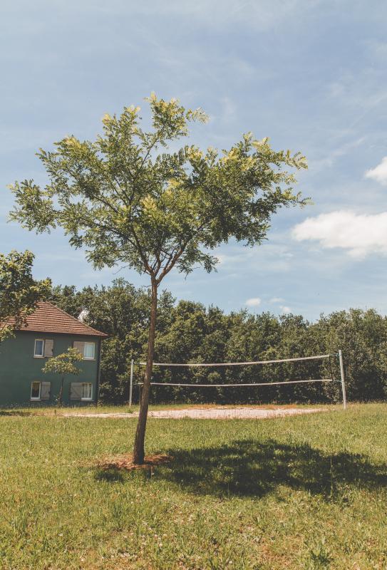 Appartement - 43 m² - 3 pièces