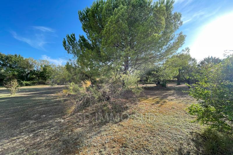 Villa - 155 m² - 6 pièces