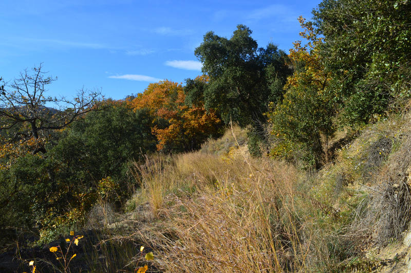 Terrain - 18 305 m²