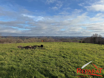 Maison - 142 m² - 7 pièces