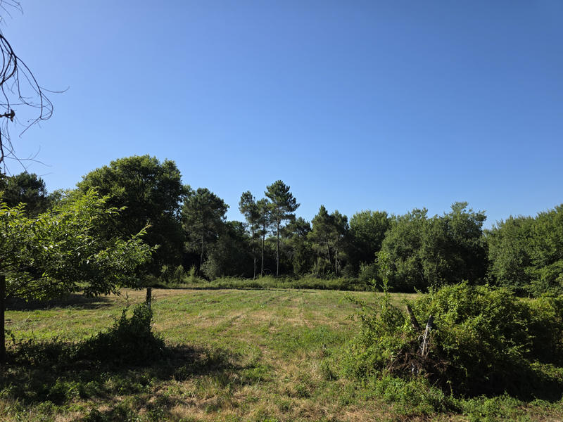 Maison - 188 m² - 7 pièces