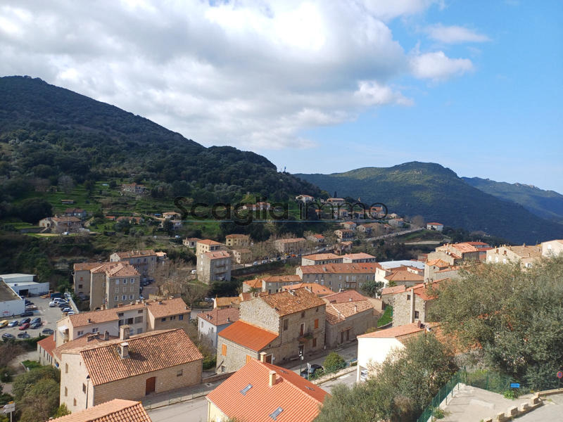 Appartement - 105 m² - 4 pièces