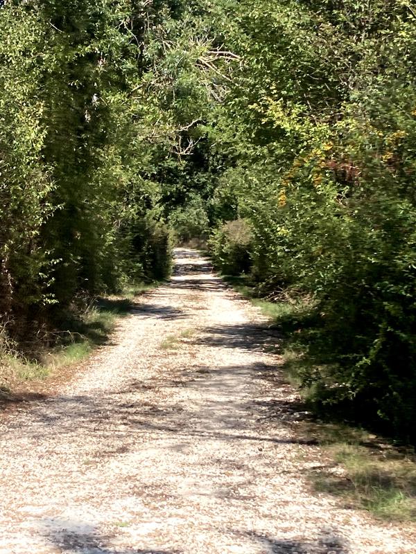 Villa - 240 m² - 10 pièces